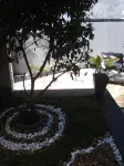 Villa Aurora Hotels near Department of Sociology