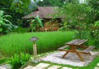 Fern Resort Mae Hong Son