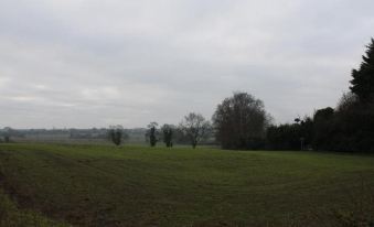 a rural landscape with a field , trees , and buildings under a cloudy sky , taken from the perspective of someone standing on a tree - lined at The Red Lion Inn
