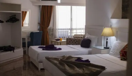 Nile Boutique Hotel Отели рядом с достопримечательностью «Каирский университет»