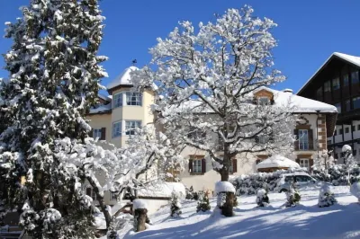 Hotel Garnì Laurino فنادق في Panchia