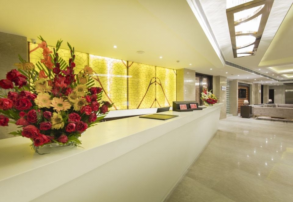 Diyalo Lords  Plaza BirgunjOver view