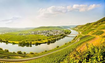 Weingut & Gästehaus Christoph Clüsserath