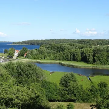 "Veselin" - 100m from the Sea