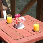 膳食公寓橙色啤酒