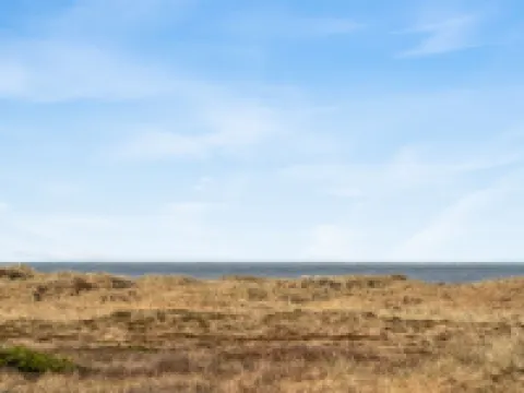 "Zaharinka" - 300m from the Sea