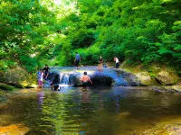 Forest Branch School Fuzawa Hotels in Kaneyama