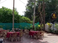 Eve Resort - Barer