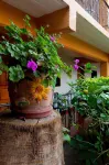 Casablanca Hotel Tula - Pet friendly