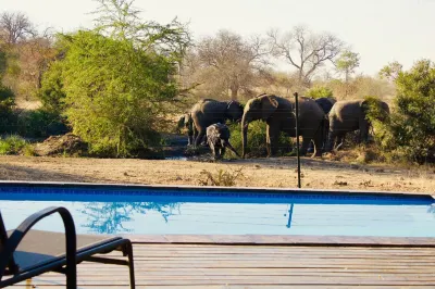 Masodini Private Game Lodge Отели рядом с достопримечательностью «Заказник Уайлд Риверс Прайват»