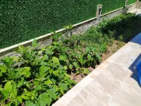 Villa KayaHan Gocek Hotels in Gökçeovacık Mahallesi