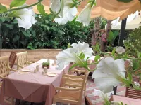 Locanda Degli Artisti فنادق في تورتولي