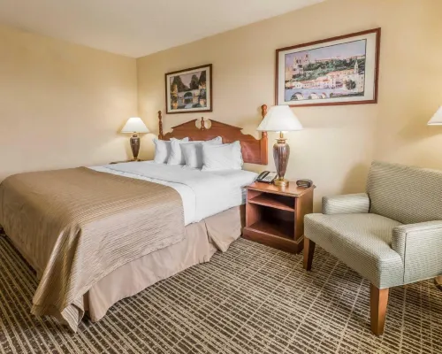 Rodeway Inn Sylacauga Hwy 280 Hotels in Childersburg