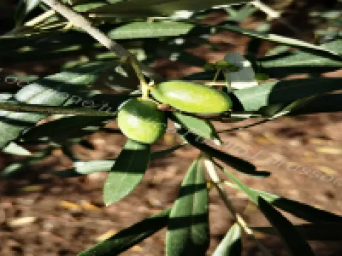 Charming Andria Apartment in the Heart of the City Hotels in Andria