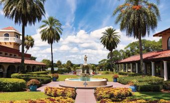 a beautiful garden with a fountain surrounded by palm trees and flowers , creating a picturesque scene at Mission Inn Resort & Club