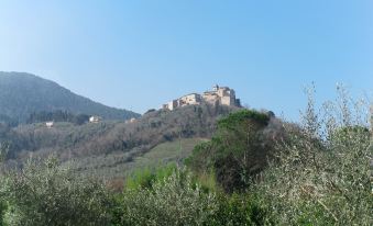 a hillside with a castle on top , surrounded by trees and bushes , under a clear blue sky at Celeste