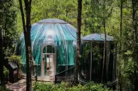 Dayue Bay Leisure Vacation Homestay