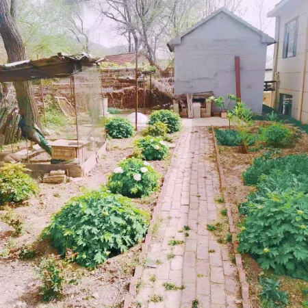 Zibo Anjia Homestay