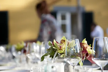 Villa Pacini - Just 1,8 km Outside Lucca Wall - Pool