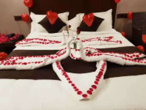 Hotel Stellar Hotels near Vadodara International Airport