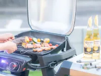 West Coast Villa Shirahama