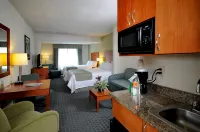 Holiday Inn Express & Suites Toluca Zona Aeropuerto Các khách sạn ở Lerma