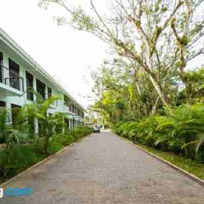 Bungalows Punta Uva Inn Hotel Exterior