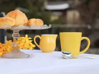 Alpes et Lac 2 Hotels in Orsieres