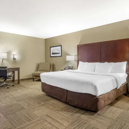 Comfort Inn & Suites Sea-Tac Airport