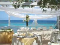 Hibiscus Lodge Hotel فنادق في أوتشو ريوس