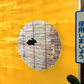 Amami Guest House Showa-so