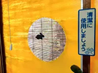 Amami Guest House Showa-so