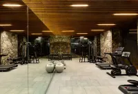 Radisson Resort and Spa Lonavala - Gym