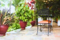 Salama Village Kigali Các khách sạn ở 