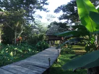 Cotton Tree Lodge Hotel di Jacinto Ville