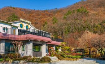 Damyang Nadri Pension