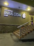 Baikal Cedar