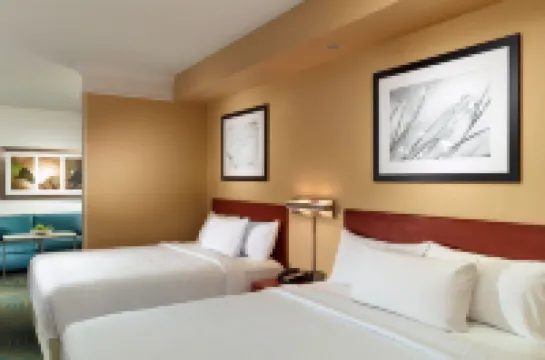 SpringHill Suites Atlanta Buckhead