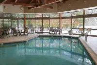 Detroit Marriott Livonia - Pools