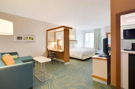 SpringHill Suites Murray