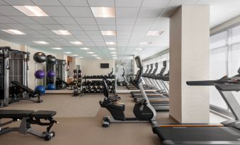 SpringHill Suites Milwaukee West/Wauwatosa