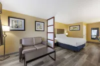 Best Western Fallon Inn  Suites Hotels in 