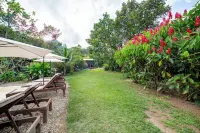 Ecolodge Raices Hotels in San Carlos