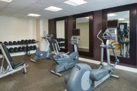 Hotel Alex Johnson Rapid City, Curio Collection by Hilton - Gym