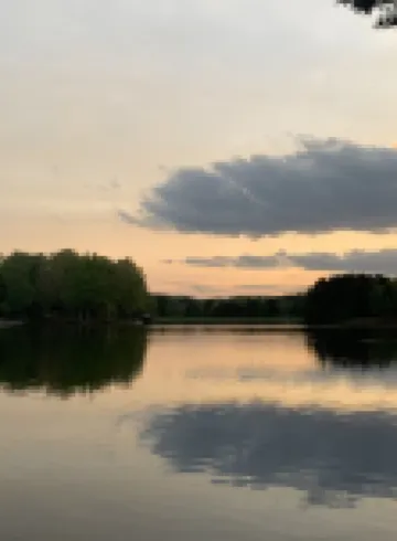 Lake Front Cabin