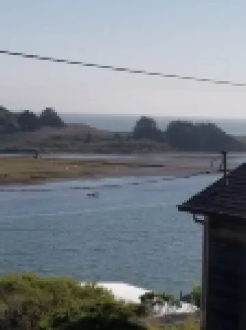 SueSea's by the Sea Shore