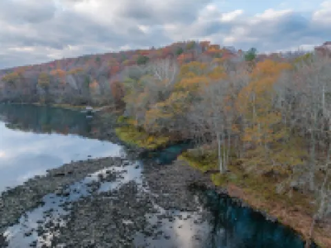 A Relaxing, Upscale Cabin with the Best View and Fishing on the River!