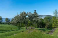 Historic Home w/glass house, mtn views, swim pond, near skiing, weekly discounts