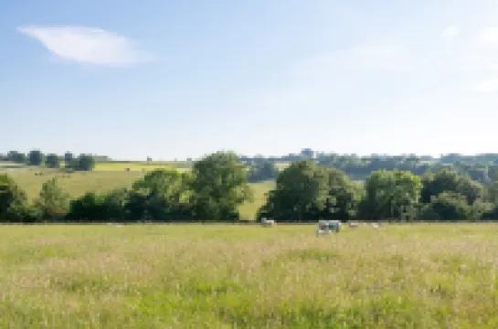 Louisa's Cottage - Beautiful Family Property in Rural Hampshire