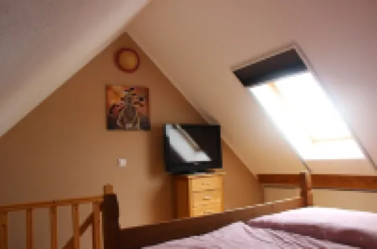 Vacation on the pony farm